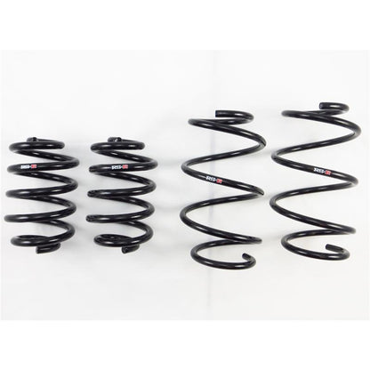 RS-R 09+ Nissan GT-R TI2000 Down Sus Springs
