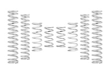 Load image into Gallery viewer, Eibach Can-Am Maverick R X RS Ultimate PRO-UTV Stage 1 Spring System (Set of 8 Springs)