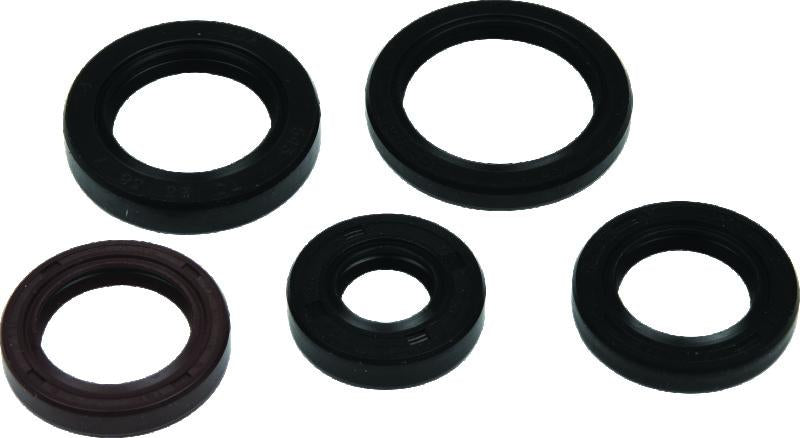 QuadBoss Qb Oil Seal Set - 564785