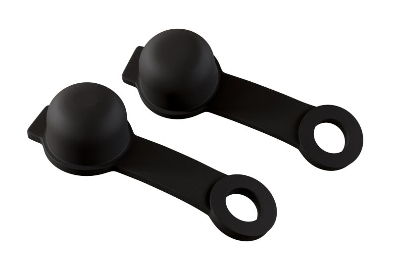 Goodridge BN-CAP-2