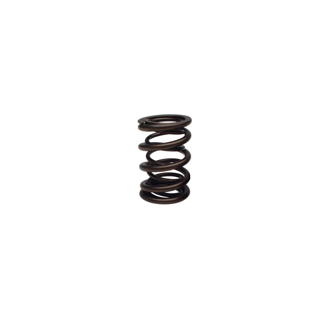 Comp Cams Spring, Dual .550In Lift Briggs