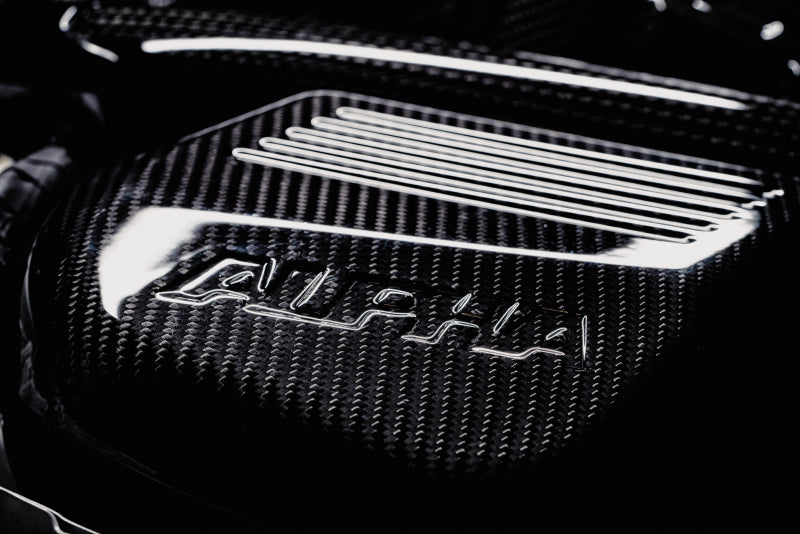 AMS Performance AMS.39.08.0001-1 15-18 BMW M3 / 15-20 BMW M4 w/ S55 3.0L Turbo Engine Carbon Fiber Intake