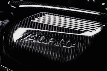 AMS Performance AMS.39.08.0001-1 15-18 BMW M3 / 15-20 BMW M4 w/ S55 3.0L Turbo Engine Carbon Fiber Intake