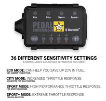 Load image into Gallery viewer, Pedal Commander Smart Roadster/Fortwo/Crossblade Throttle Controller