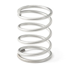 Load image into Gallery viewer, GFB EX38/44 7psi Wastegate Spring (Middle)