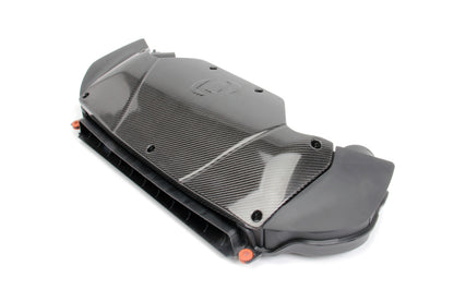 Dinan D760-0047 carbon fiber cold air intake lid and dual filters for 2015-2019 BMW F85 X5M and F86 X6M