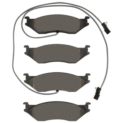 R1 18-20 Winnebago Sunstar Rear Optimum OE Brake Pads