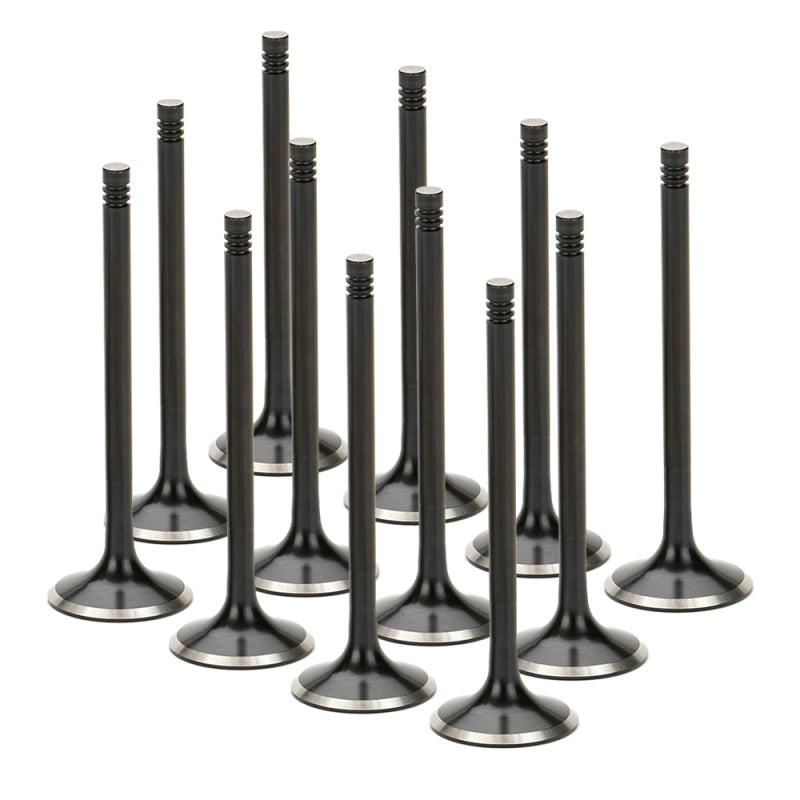 Supertech Audi/VW 1.8T 5V Black Nitride Exhaust Valve - Set of 12 Supertech