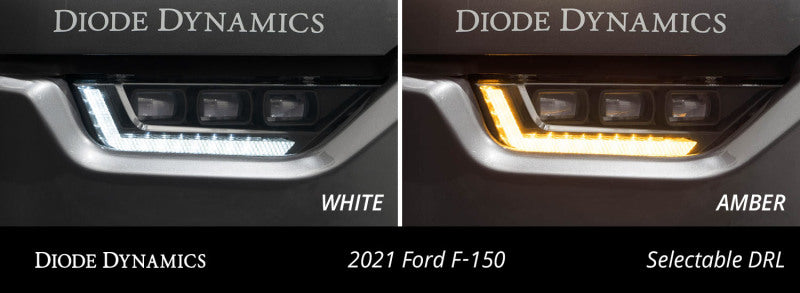 Diode Dynamics 21-23 Ford F-150 Elite Fog Lamps - White