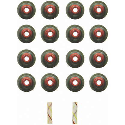 Photo - Primary