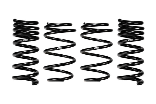 Eibach 24+ Ford Mustang GT Coupe 5.0L RWD S650 Performance Pack w/ Magneride  E10-35-064-02-22