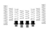 Eibach 18-21 Polaris RZR XP Turbo Pro-UTV Stage 2 Performance Spring System (Set of 8 Springs)