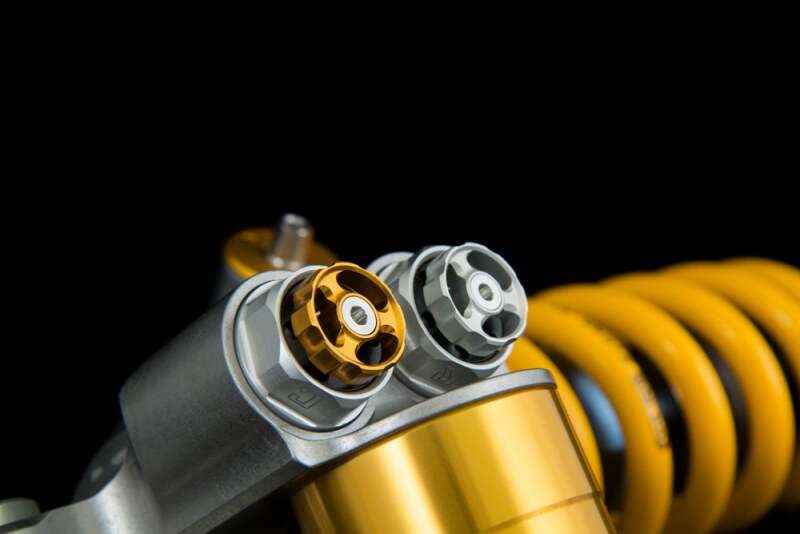 Photo - Close Up