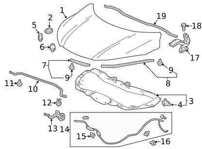 OEM HONDA 13-17 Accord Door-Front Door-Lower Seal Retainer Clip (91520-SCC-003) X1