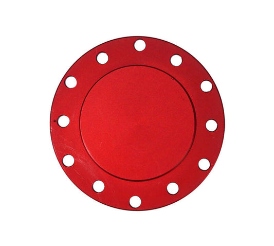NRG Horn Delete Plate Flush 70x6in / 74x6 PCD pattern - Red - STR-150RD