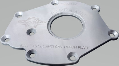 Boundary 12-16 Ford Barra XR6 Billet Back Plate BA-BBP