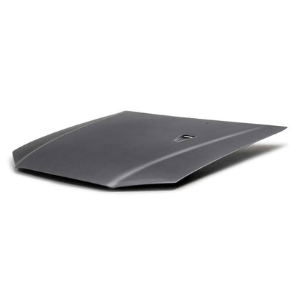 Seibon 99-02 Nissan Skyline R34 GT-R Signature V-Style Dry Carbon Hood  - Matte