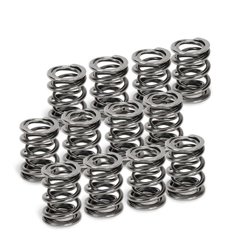 Supertech VW VR6 Dual Valve Spring - Set of 12 Supertech