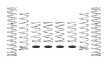 Load image into Gallery viewer, Eibach 15-16 Can-Am Maverick Pro-UTV - Stage 2 Performance Spring System (Set Of 8 Springs)