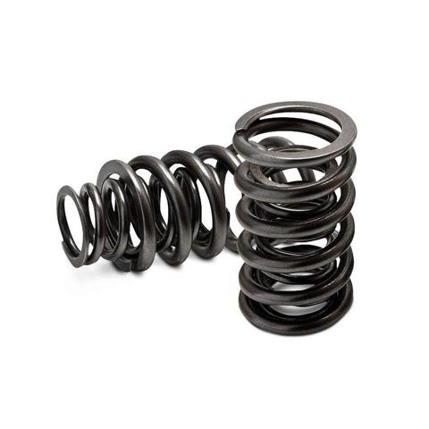 GSC P-D Universal Ovate Beehive Valve Spring - TVS1735