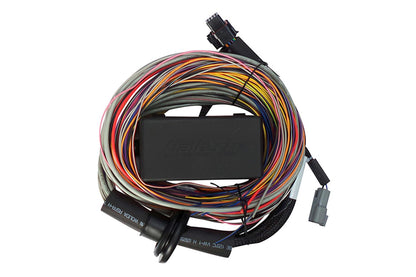 Haltech Elite 750 ECU + Premium Universal Wire-In Harness Kit (HT-150604)