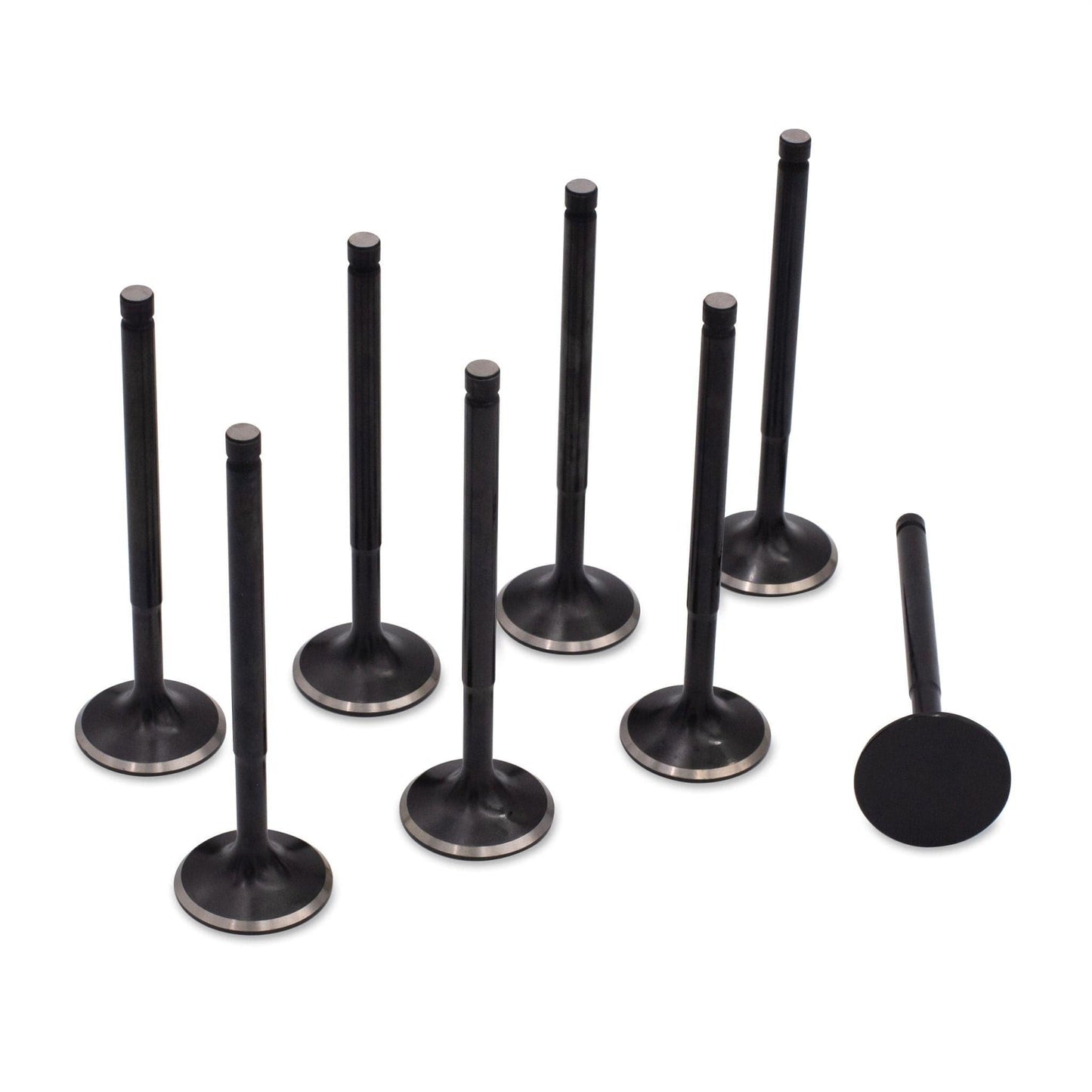 BLOX Racing High Compression Exhaust Valve Set for B-series DOHC VTEC BXPT-20201 BXPT-20201