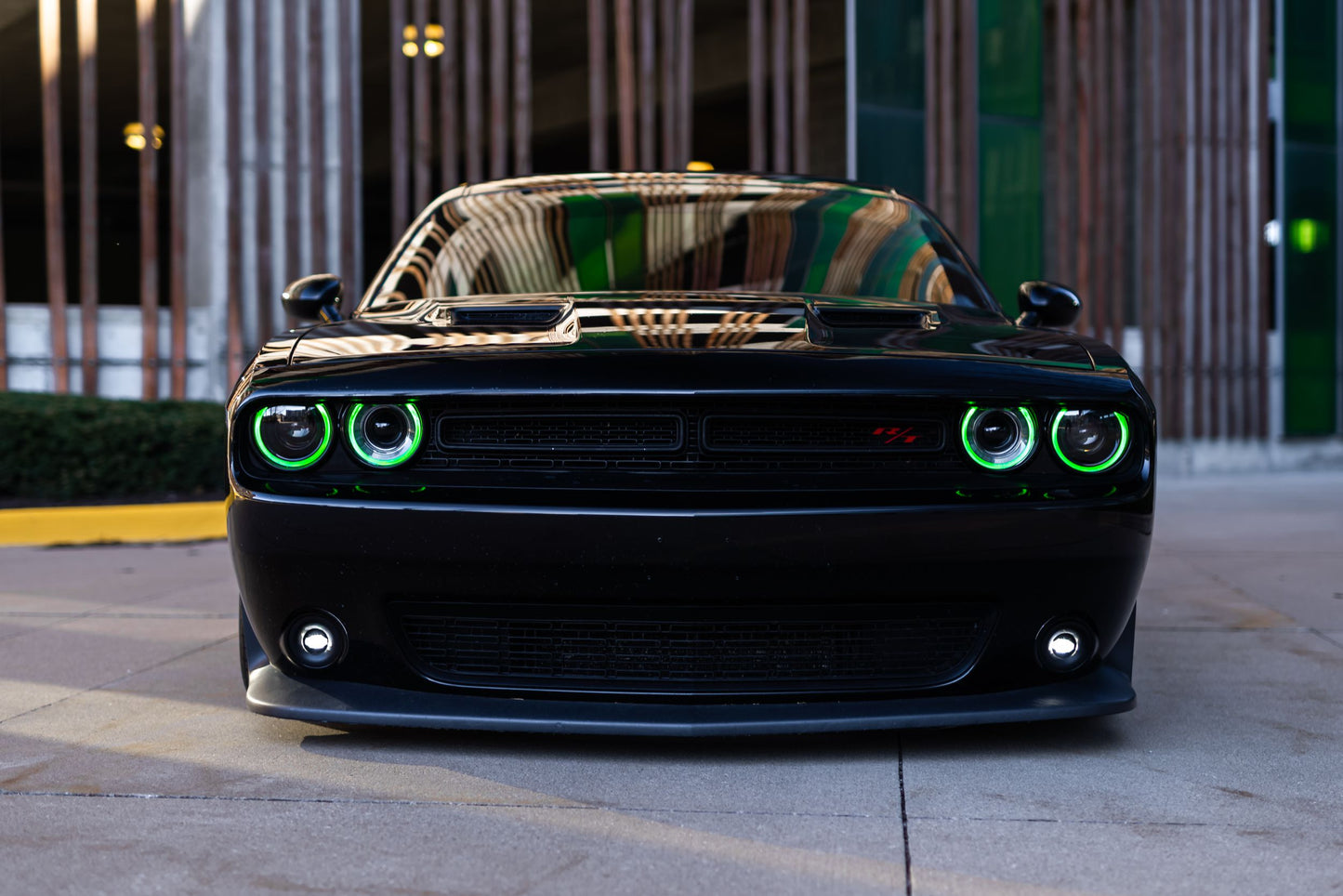 Black Dodge Challenger with Morimoto XRGB LF495 headlights and green RGB daytime running lights illuminated