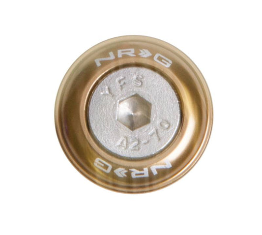 NRG Innovations Fender Washer Kit for Metal - Titanium - 10pc – FW-110TI