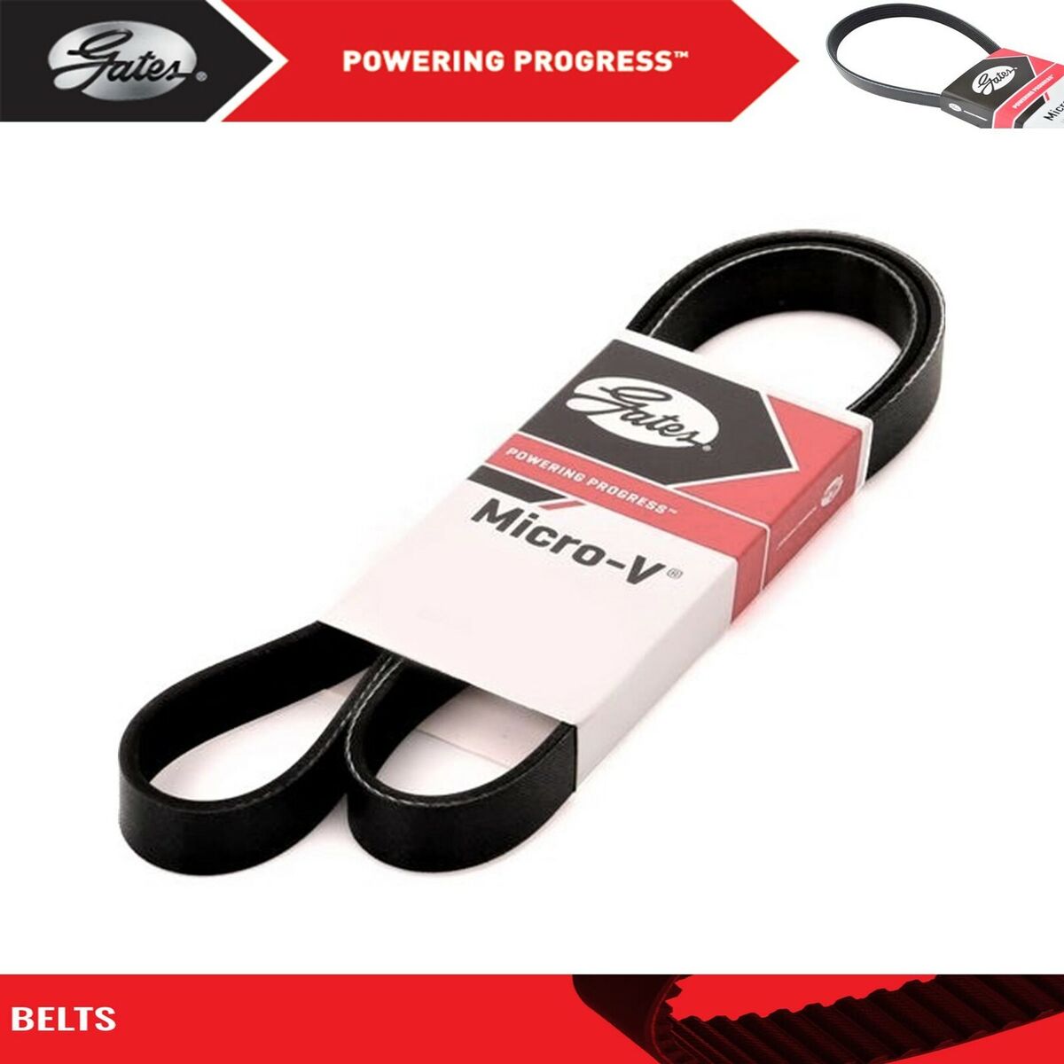 Gates 2013-2014 Ford Mustang GT500 Micro-V Belt
