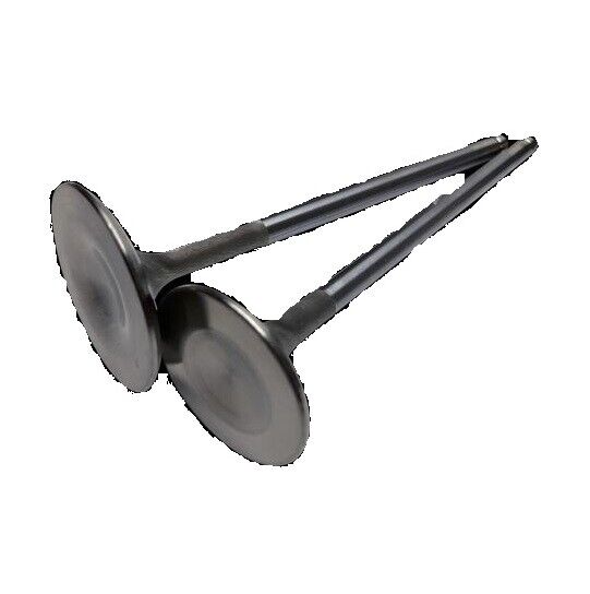 Brian Crower 2021+ Polaris Pro R Stainless Steel Intake Valves - 37.8mm  (STD) - BC3800-2