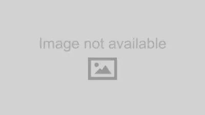 Maxtrac - 19-23 Dodge RAM 1500 2WD/4WD 2/4in Lowering Kit W/Camber Arms Maxtrac