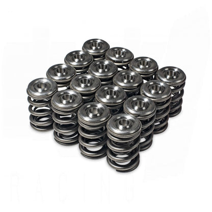 Skunk2 Alpha Valve Spring & Ti Retainer Kit – H-Series | 344-05-1360