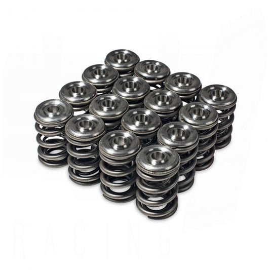 Skunk2 Alpha Valve Spring & Ti Retainer Kit – H-Series | 344-05-1360