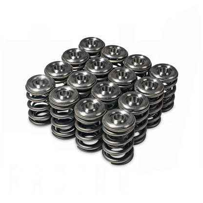 Skunk2 Alpha Valve Spring & Ti Retainer Kit – H-Series | 344-05-1360