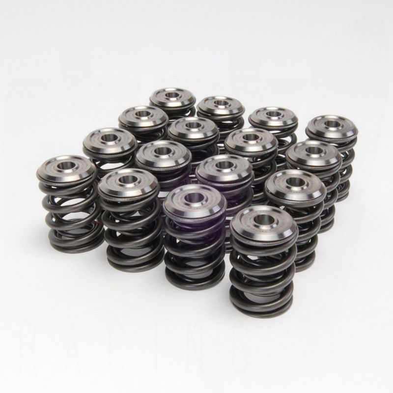 Skunk2 344-05-1410