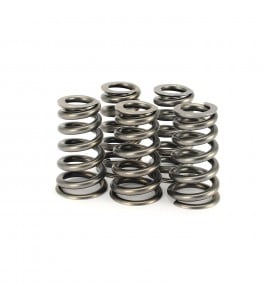 Ferrea 99-00 Suzuki GSX 1300R Hayabusa Dual Valve Spring Kit