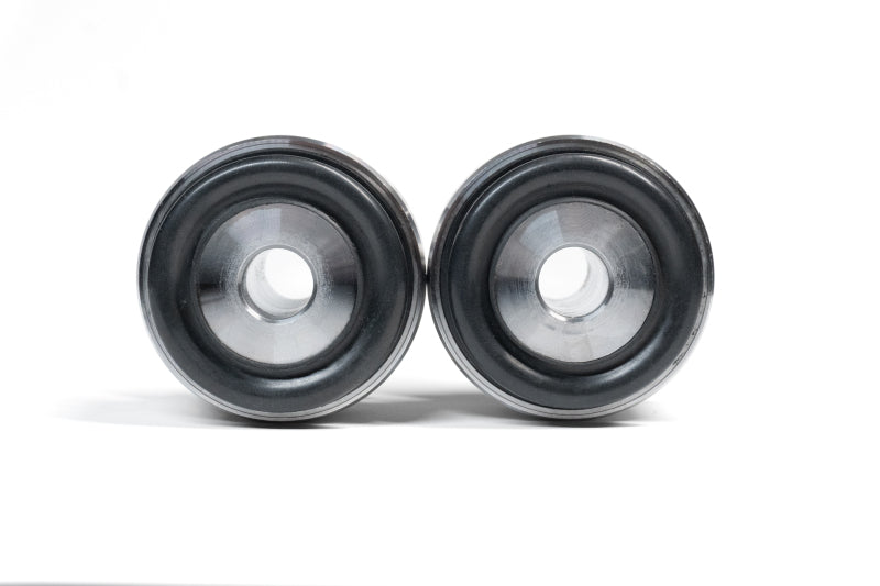 Whiteline KCA541 front lower control arm bearing kit for Kia EV6 and Hyundai Ioniq