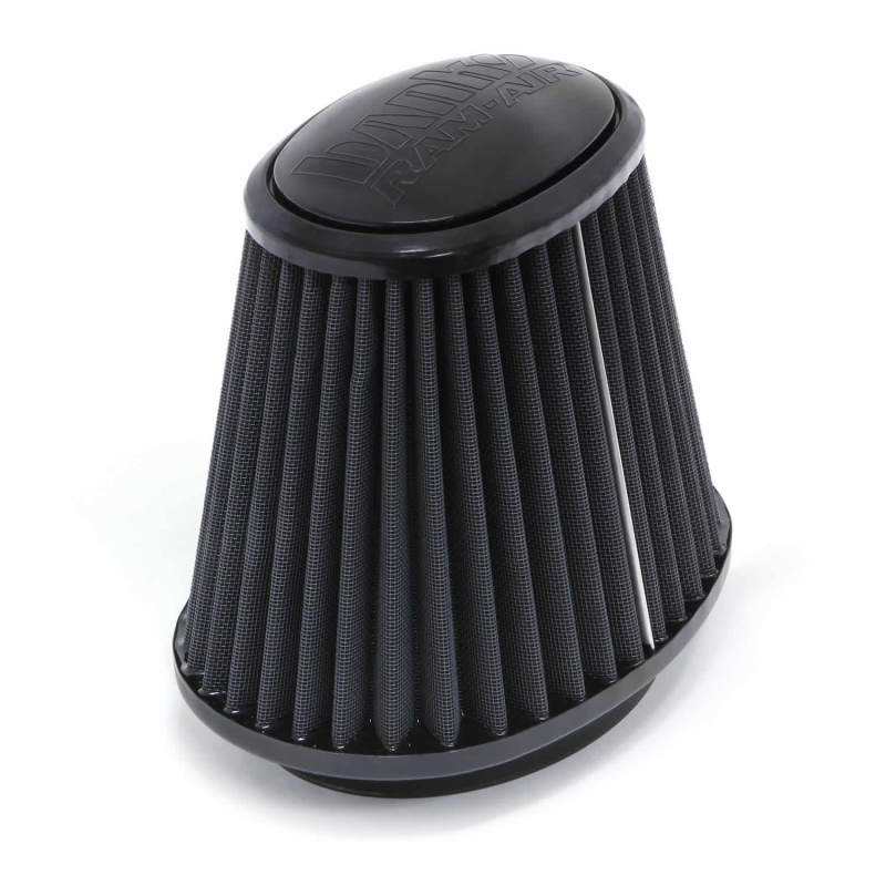 Banks Power Various Ford & Dodge Diesels Ram Air System Air Filter Element - Dry - eliteracefab.com