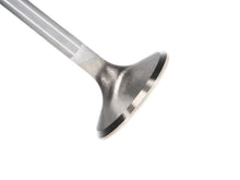 Load image into Gallery viewer, Manley Chevy LS-1/LS-2 Small Block 1.575 Pro Flo Severe Duty Exhaust Valves (Set of 8)