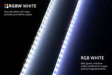 Load image into Gallery viewer, Diode Dynamics RGBW 100cm Strip SMD60 M8