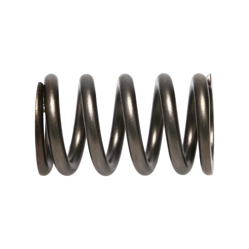 Manley Dodge SRT-4 16pc Valve Springs Manley Performance