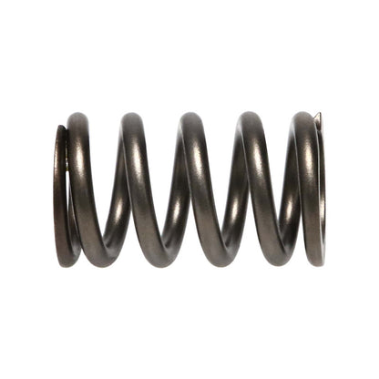 Manley Dodge SRT-4 16pc Valve Springs Manley Performance
