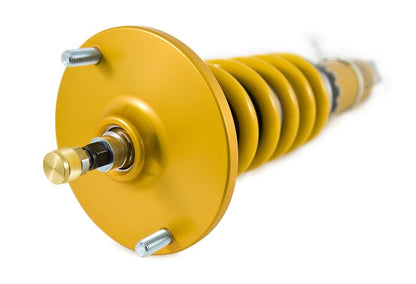 Ohlins 95-02 Nissan Skyline GT-R (R33/R34) Road & Track Coilover System - eliteracefab.com