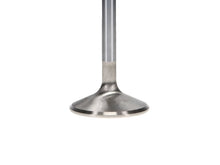 Load image into Gallery viewer, Manley Pontiac 400-428-455 1.770 Race Master Exhaust Valves (Set of 8)