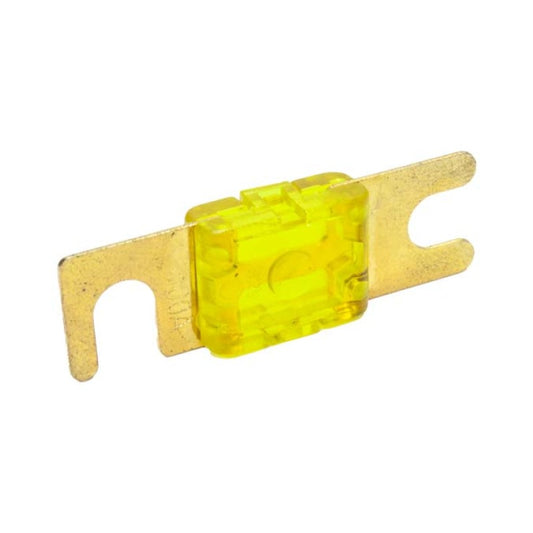 Snow Performance 100 AMP Fuse - SNF-25012