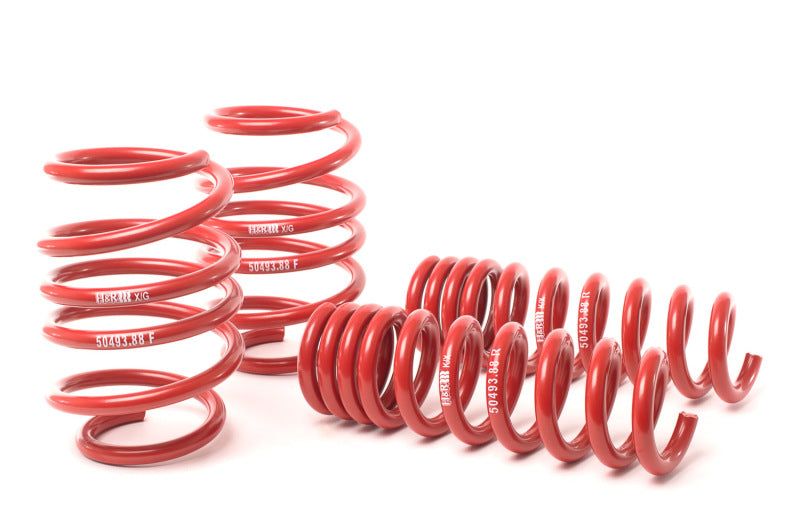 H&R 08-13 BMW M3 Coupe/M3 Sedan E92 Race Spring - eliteracefab.com