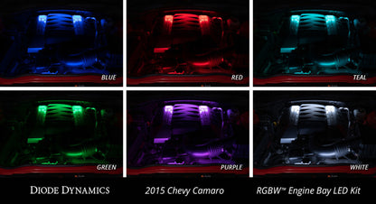 Diode Dynamics RGBW Engine Bay Strip Kit 2pc Multicolor Diode Dynamics