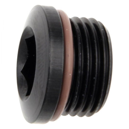Fragola Performance Systems 481306-BL Port Plugs -6AN (9/16-18) - eliteracefab.com