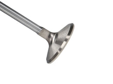 Load image into Gallery viewer, Manley Chrysler 426 Hemi Race Master Exhaust Valves (Set of 8)