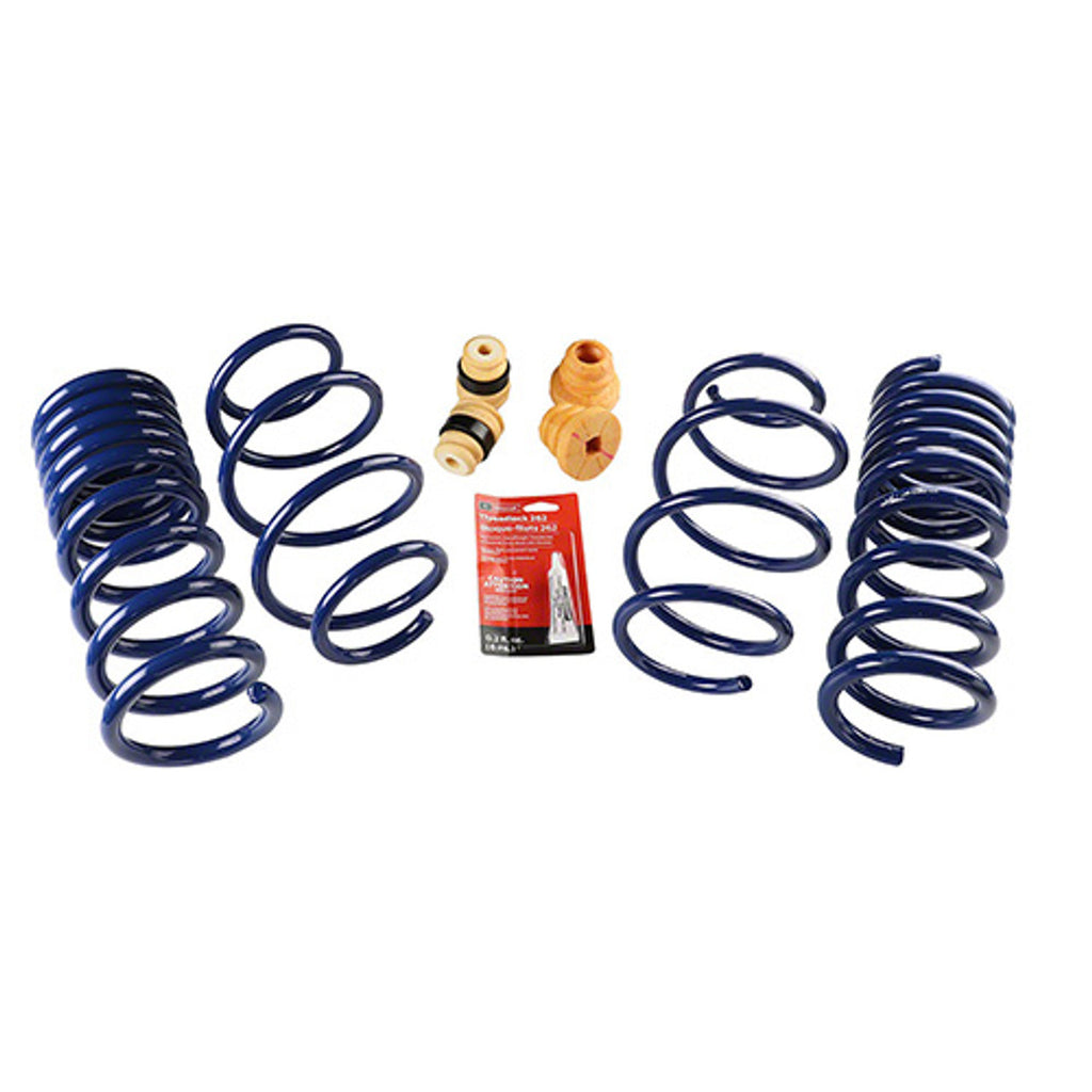 Ford Racing 15-19 Mustang (w/o MagneRide) Street Lowering Spring Kit - eliteracefab.com